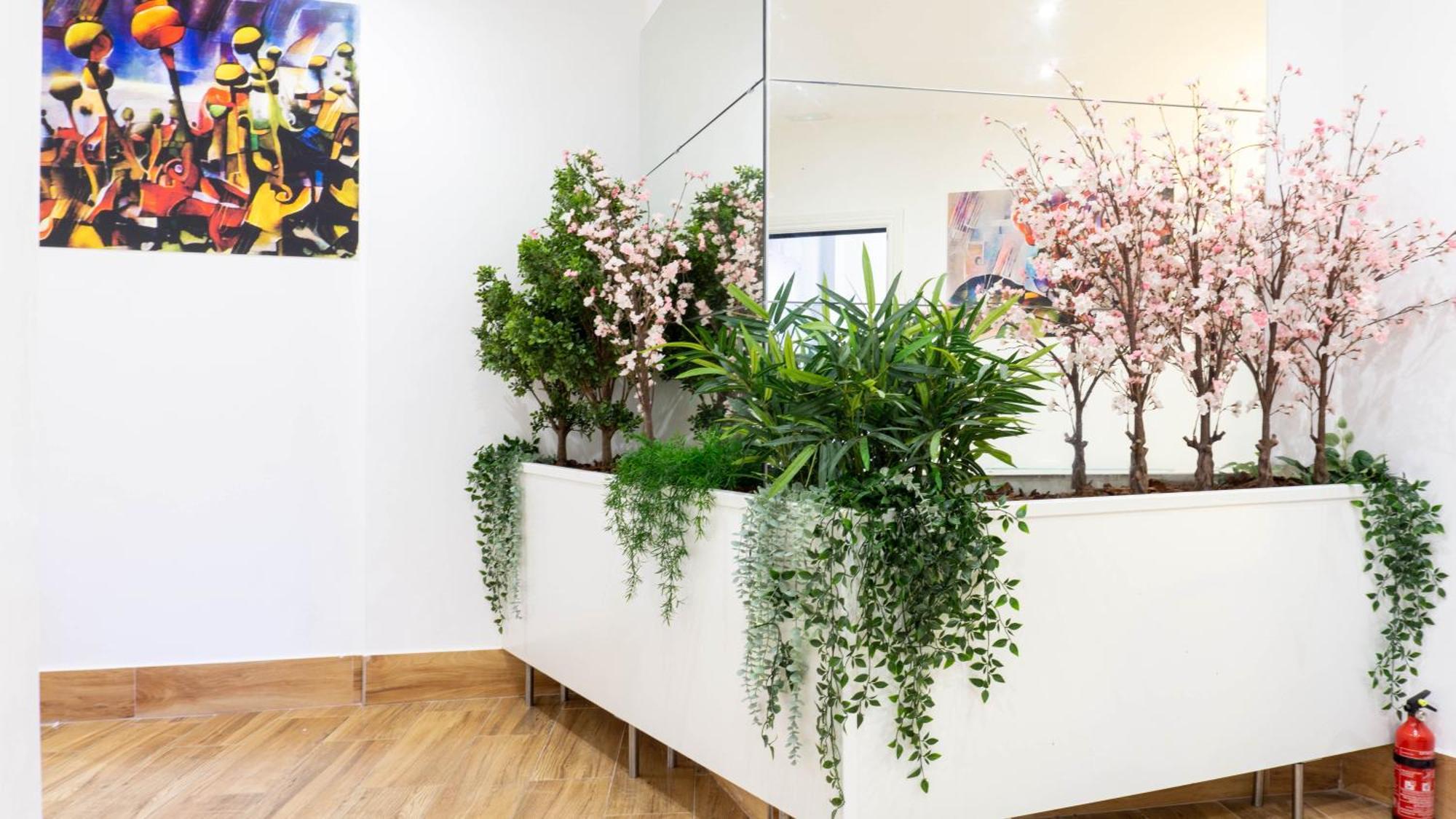 Ilustre Rooms Center 马拉加 外观 照片